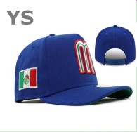 Mexico Snapback Hat (10)