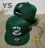 NFL Philadelphia Eagles Snapback Hat (289)
