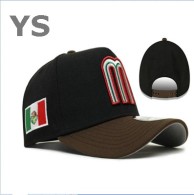 Mexico Snapback Hat (3)