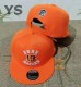 NFL Cincinnati Bengals Snapbacks Hat (40)