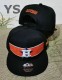 MLB Houston Astros Snapback Hat (67)