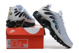 Nike Air Max TN Shoes (1)