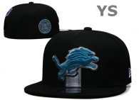 NFL Detroit Lions Snapback Hat (109)