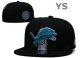 NFL Detroit Lions Snapback Hat (109)