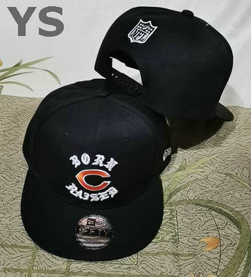 NFL Chicago Bears Snapback Hat (172)