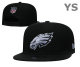 NFL Philadelphia Eagles Snapback Hat (291)