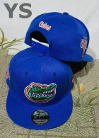 NCAA Florida Gators Snapback Hat (29)