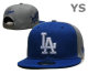 MLB Los Angeles Dodgers Snapback Hat (390)