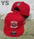 NFL San Francisco 49ers Snapback Hat (567)