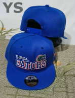 NCAA Florida Gators Snapback Hat (30)
