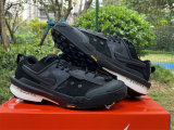 Authentic Sacai x Nike Zegamadome SP