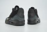 Perfect Air Jordan 3  Black Cat