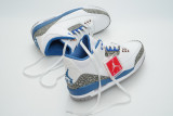 Perfect Air Jordan 3 Wizards