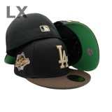 Los Angeles Dodgers 59FIFTY Hat (102)