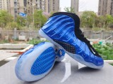 Nike Air Foamposite One (27)