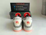 Authentic Air Jordan 3 “Wings”