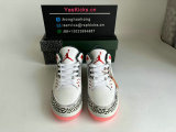 Authentic Air Jordan 3 “Wings”