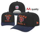 NFL Chicago Bears Snapback Hat (174)