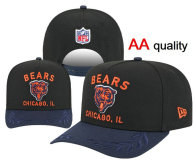 NFL Chicago Bears Snapback Hat (174)
