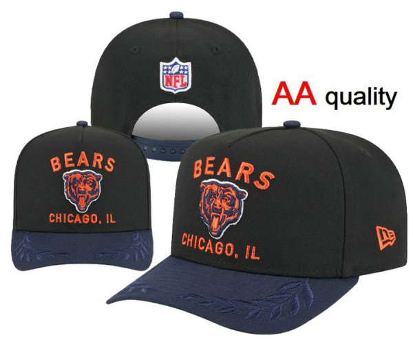 NFL Chicago Bears Snapback Hat (174)