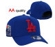 MLB Los Angeles Dodgers Snapback Hat (399)
