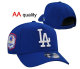 MLB Los Angeles Dodgers Snapback Hat (398)