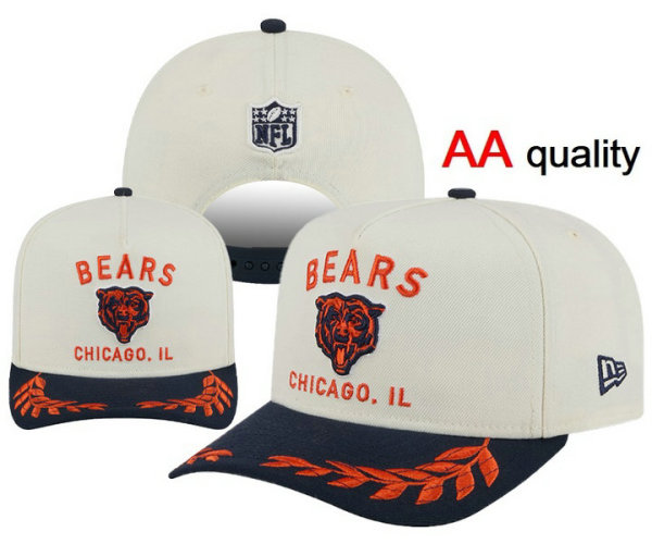 NFL Chicago Bears Snapback Hat (173)
