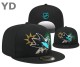 NHL San Jose Sharks Snapback Hat (33)