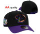 MLB Arizona Diamondbacks Snapback Hat (19)