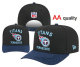 NFL Tennessee Titans Snapback Hat (82)