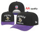NFL Minnesota Vikings Snapback Hat (89)