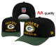 NFL Green Bay Packers Snapback Hat (179)