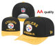 NFL Pittsburgh Steelers Snapback Hat (335)