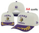 NFL Minnesota Vikings Snapback Hat (90)