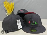 Los Angeles Dodgers 59FIFTY Hat (130)