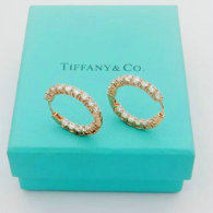 Tiffany Earrings (231)