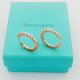 Tiffany Earrings (231)