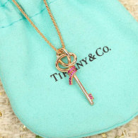 Tiffany Necklace (120)