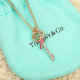 Tiffany Necklace (120)