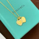 Tiffany Necklace (22)