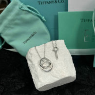 Tiffany Necklace (140)