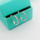 Tiffany Earrings (113)