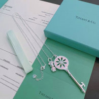 Tiffany Necklace (343)