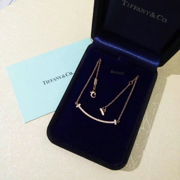 Tiffany Necklace (89)