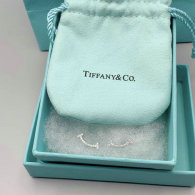 Tiffany Earrings (75)