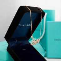 Tiffany Necklace (189)
