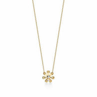 Tiffany Necklace (208)