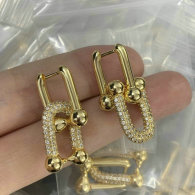 Tiffany Earrings (170)