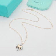 Tiffany Necklace (13)
