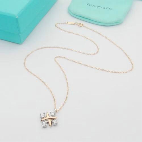 Tiffany Necklace (13)